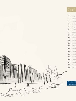 Cygnet-Annual-Report-2014-HD